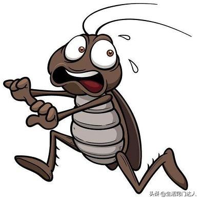 家里出现蟑螂别着急，学会这个窍门，蟑螂来多少灭多少，太实用了
