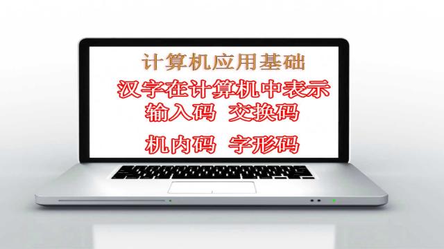 在计算机系统内部使用的汉字编码是_____