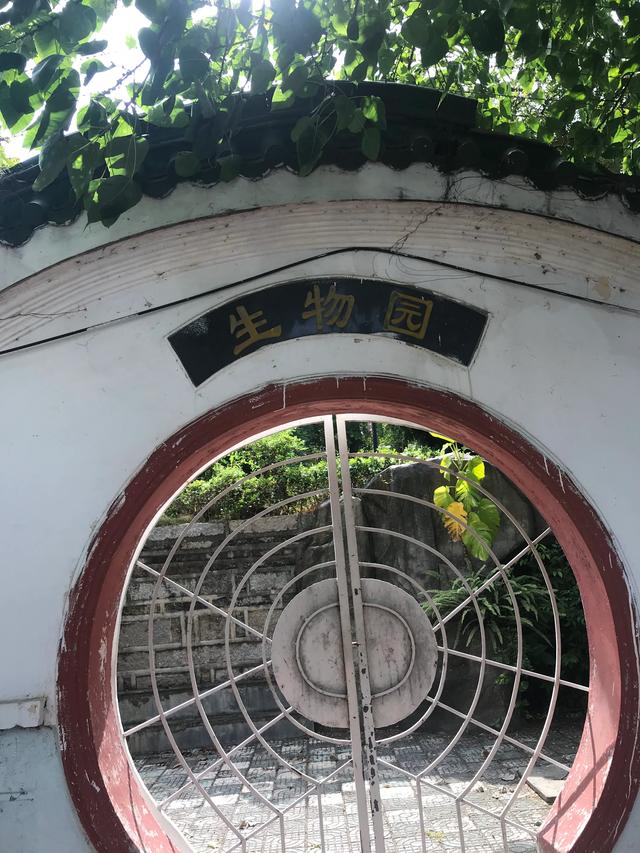 从爱国华侨陈嘉庚雇日本妓女说起厦门