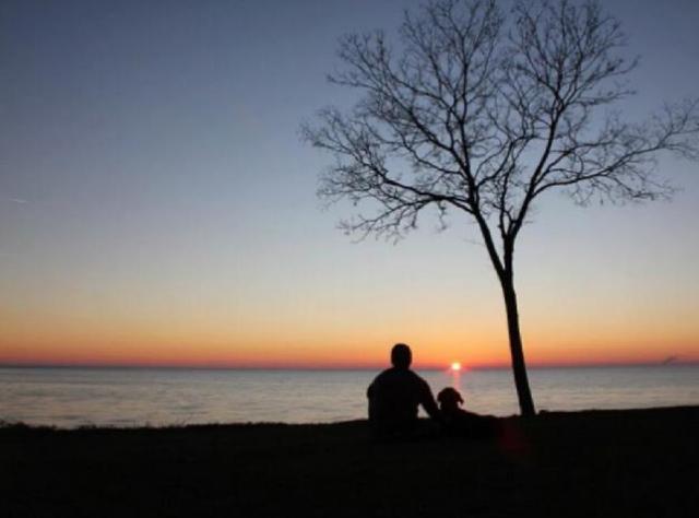 如果分离无法避免，请让我们好好告别