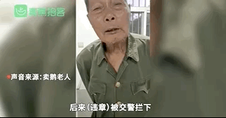 重庆|七旬大爷卖鹅违章，交警这个举动引网友狂赞！