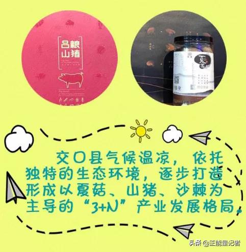 吕梁十三县（市、区）长化身网络主播直播带货