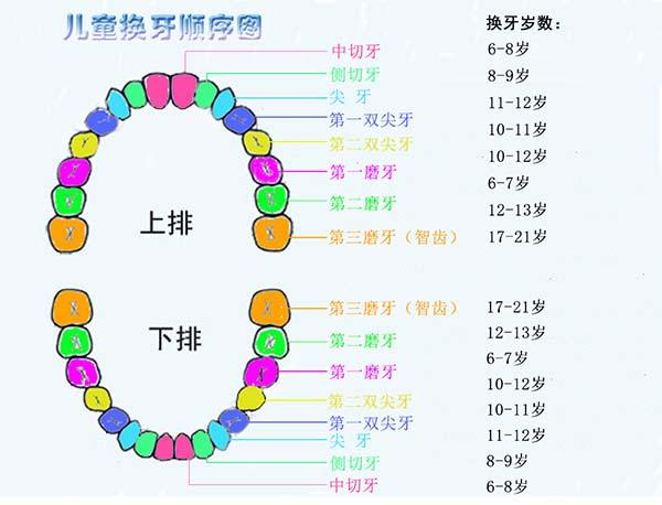 门牙什么时候换(儿童门牙什么时候换)