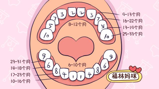 寶寶什麼時候牙齒長齊乳牙最晚多久長齊