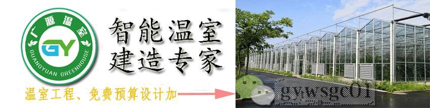 温室大棚薄膜为什么要选用流滴膜？使用流滴膜有什么好处呢