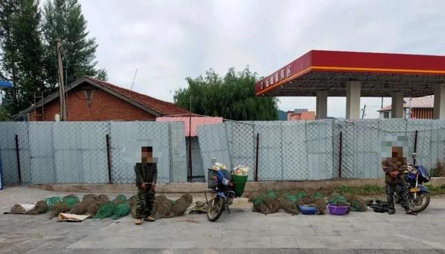 重庆|查扣鱼类 7000余条，辉南森林公安破获8起非法捕捞刑事案件