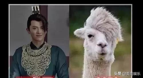 在线自夸？学员撞脸导师霸占热搜，他们竟这么