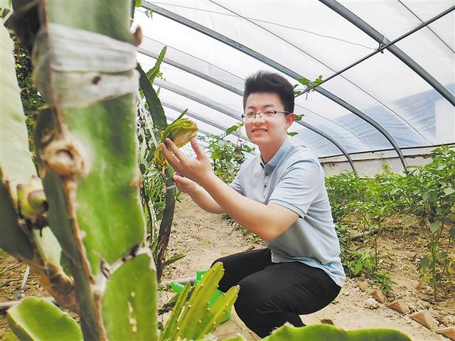 菏澤：單縣浮崗鎮：景美 業興 民樂
