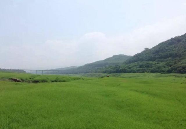 坪坝什么意思(坪坝啥意思)