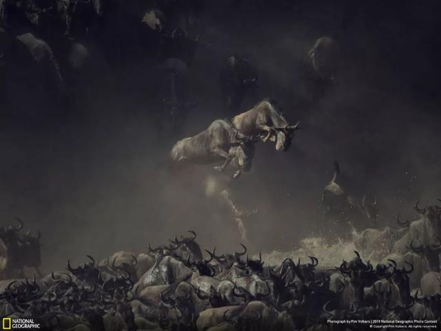 年度震撼大片，2018 国家地理摄影奖揭晓