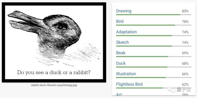 百年老图难倒谷歌AI，网友：是鸭是兔？连我都不能确定