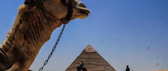 埃及旅游需要多少钱(埃及十日游需要多少钱)