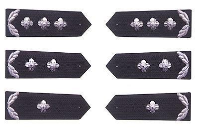 中级职称的可以授予以下警衔(由高往低排序):一级警督,二级警督,三级