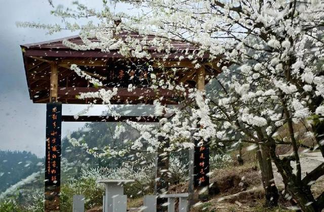 2020重庆旅行时间表出炉，赶紧收藏