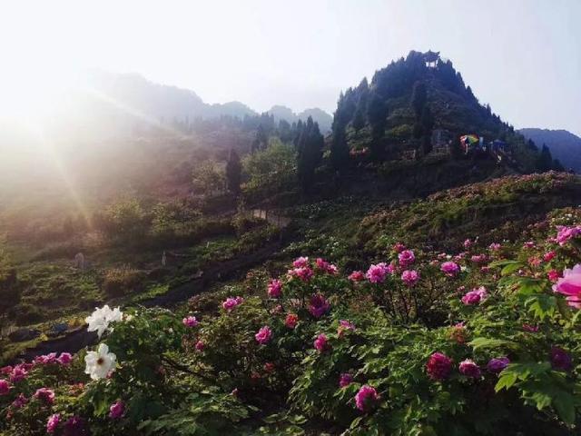 2020重庆旅行时间表出炉，赶紧收藏