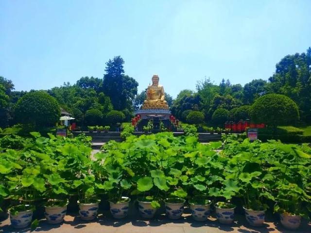 2020重庆旅行时间表出炉，赶紧收藏