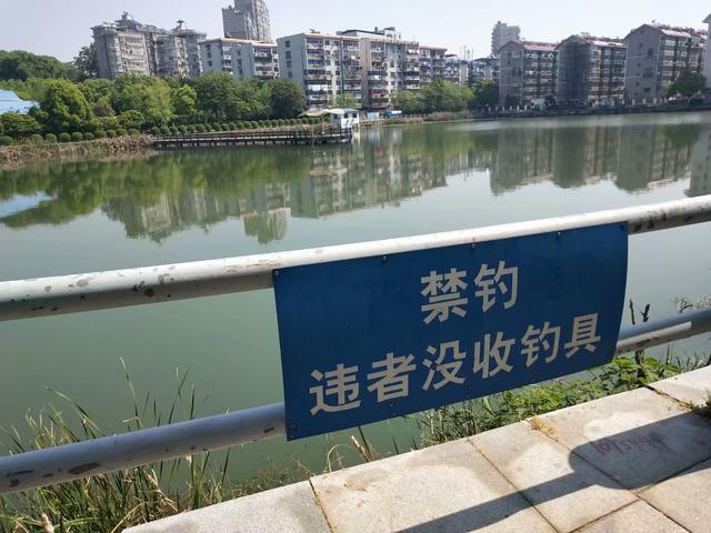 在江河湖泊钓鱼违法吗 会有哪些后果 爱游钓鱼网