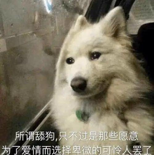 阿娇老公背后的大Boss，竟是周扬青