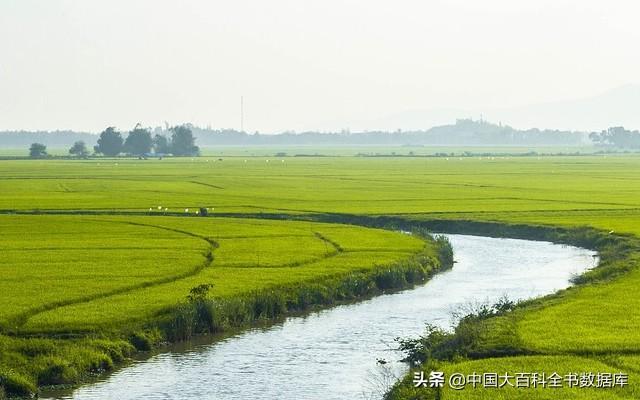 今日小满：小得盈满初夏荷香麦稍黄