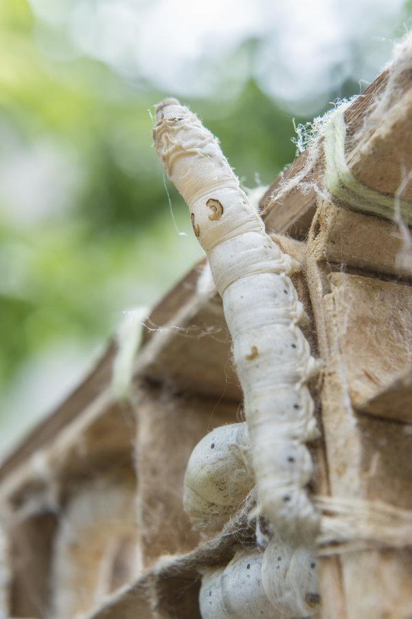 600_900竖版 竖屏