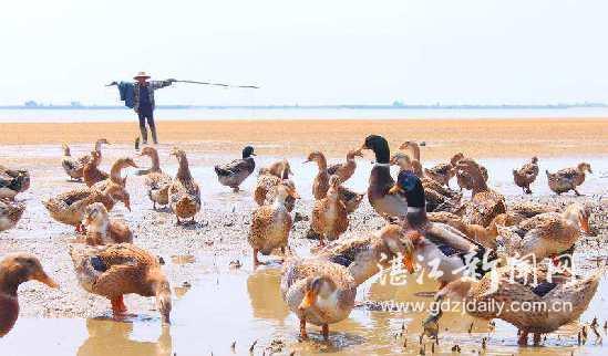 呼吸的是海边无污染的新鲜空气,每天潮落时,海边总会留下很多小鱼