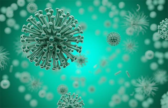 新研究：新冠病毒或由多种冠状病毒组合后变异而来 与人体结合力比其始祖高1000倍