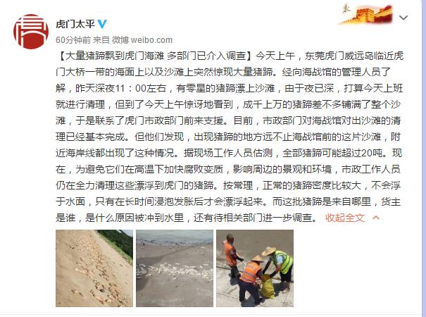 震惊！东莞海滩惊现大量猪蹄，或超过20吨，公安等多部门已介入调查