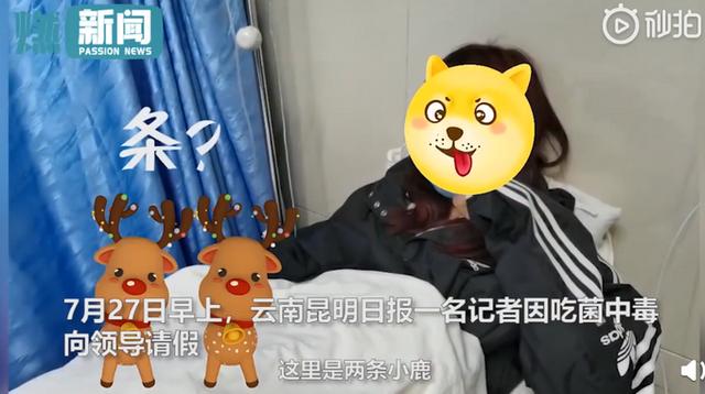 女记者吃完菌后中毒躺病床上看龙玩绣球，跟领导请假的内容亮了