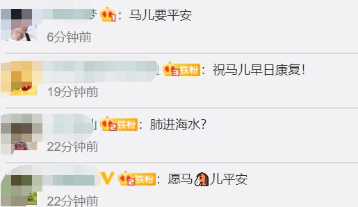 男孩|冲入海中救男孩的两匹马病危 主人心疼求助