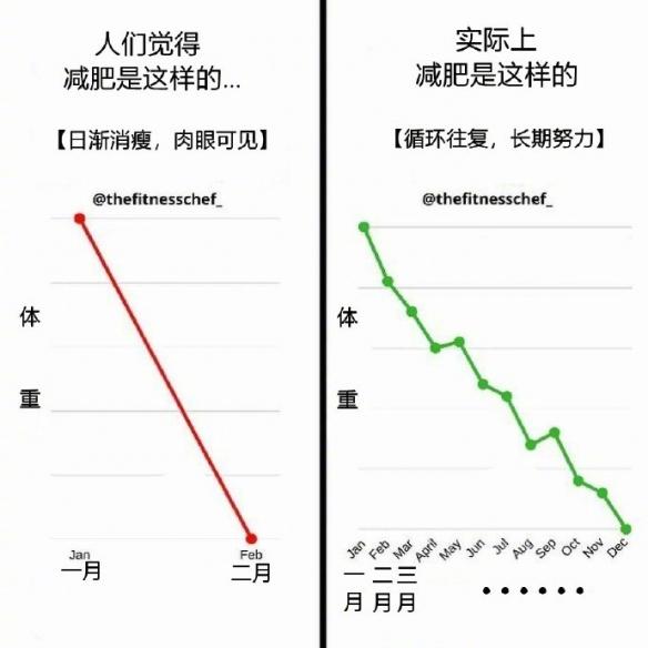 被误会的9个减肥饮食迷思吃得少为什么不瘦