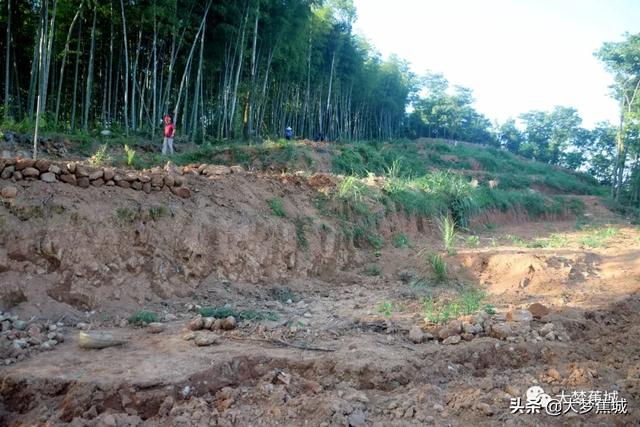 蕉北果农挖出新石器晚期大型石锛！距今约3000多年！