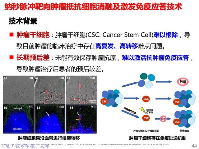 前沿技術(shù)報告｜重慶大學(xué)姚陳果教授：高壓超短脈沖技術(shù)及應(yīng)用