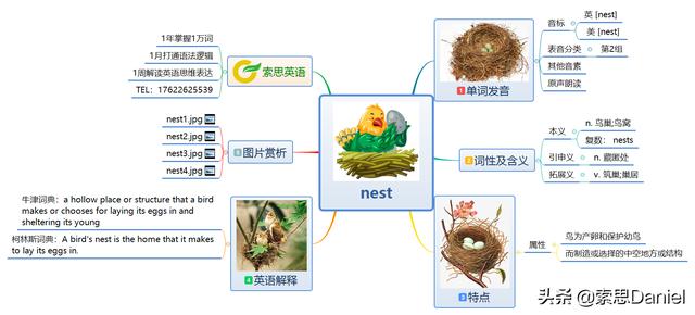 nest是什么意思(nest是什么意思怎么读)