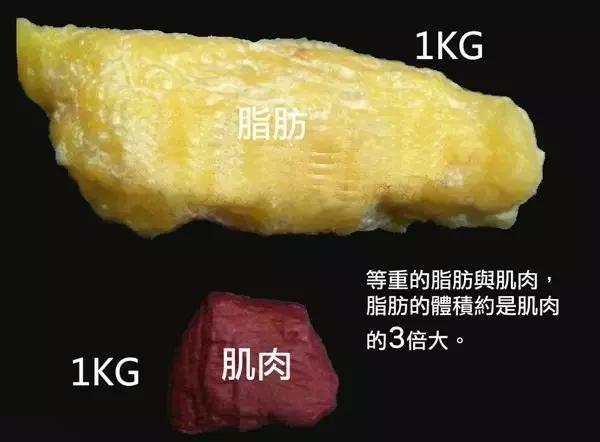 怎麼降低體脂率？幾個減脂方法，堅持下來，你就是瘦子了