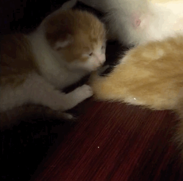 在线自夸？学员撞脸导师霸占热搜，他们竟这么