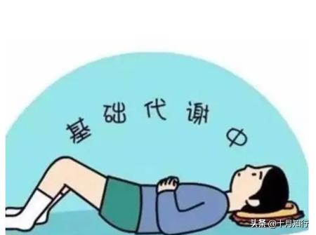 不吃飽了哪有力氣減肥，你以為這是開玩笑？其實是真的