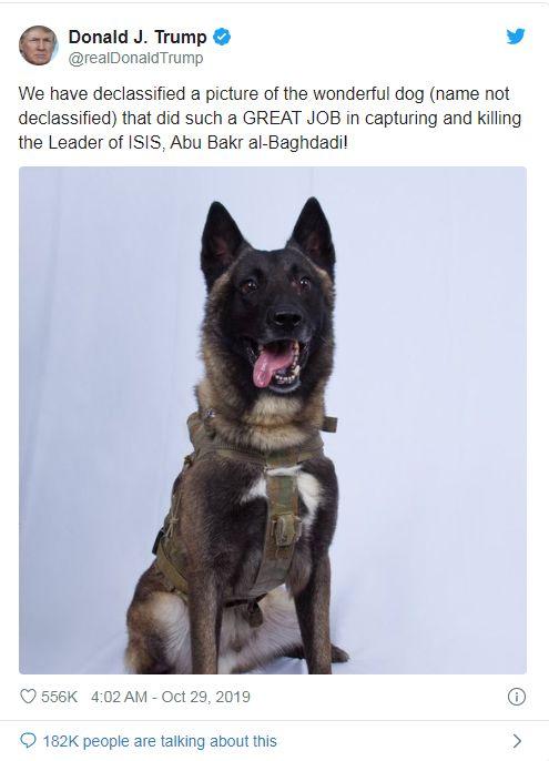 嬑是什么意思嬑字的寓意