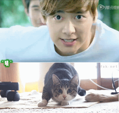 在线自夸？学员撞脸导师霸占热搜，他们竟这么