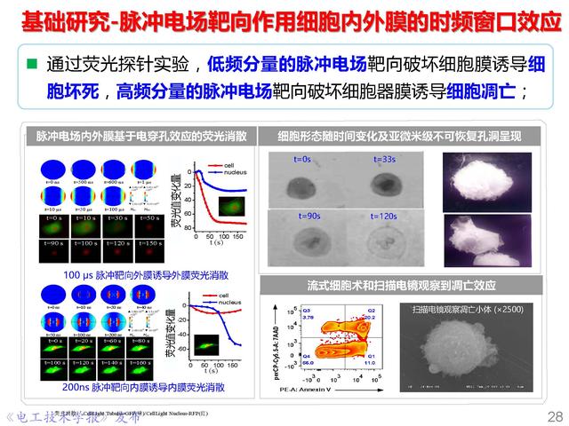 前沿技术报告｜重庆大学姚陈果教授：高压超短脉冲技术及应用