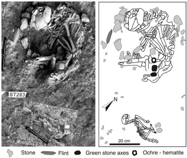 猫是精神鸦片吗？揭穿了喵星人的这些阴谋，你依然无法自拔