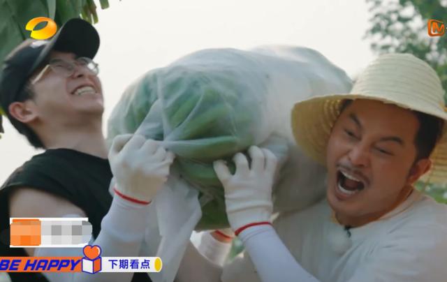 《向往的生活》滤镜有多强？香蕉在树上还是绿