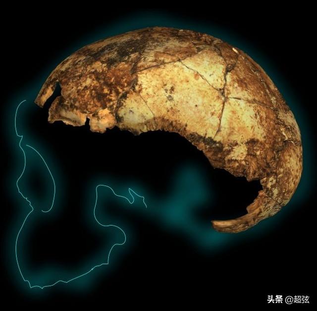 人类发现的最古老的人类化石是什么