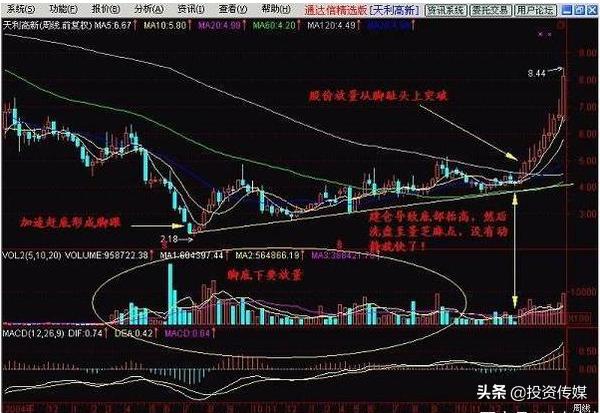 社保基金收益或创新纪录！二季度追买大消费+医药股，谁会涨成下一只“千元茅台股”（附名单一览）