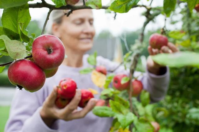 未来，有机食品在中国是刚需！