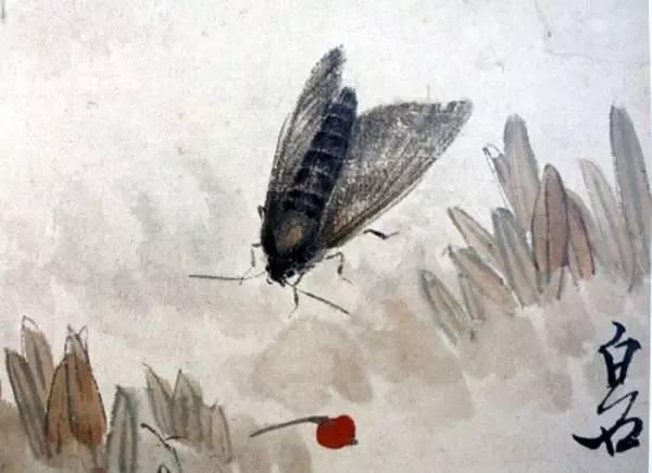 齐白石国画中的飞虫辑录，让你仔细看个够