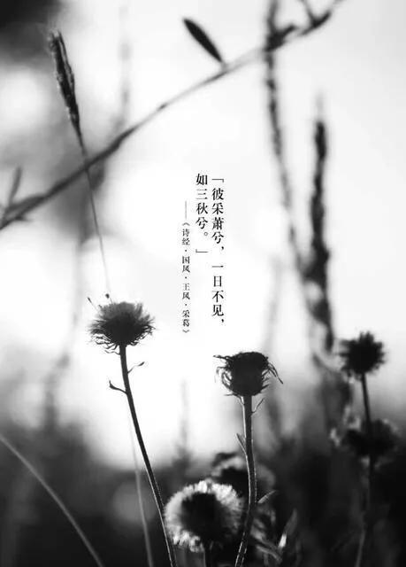 忧心忡忡什么意思忧心忡忡的意思和造句