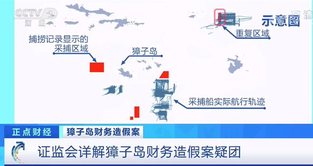 快救救「獐子岛」的扇贝吧！它们离家出走了……