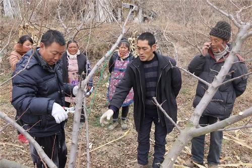 抽枝什么意思抽枝长叶