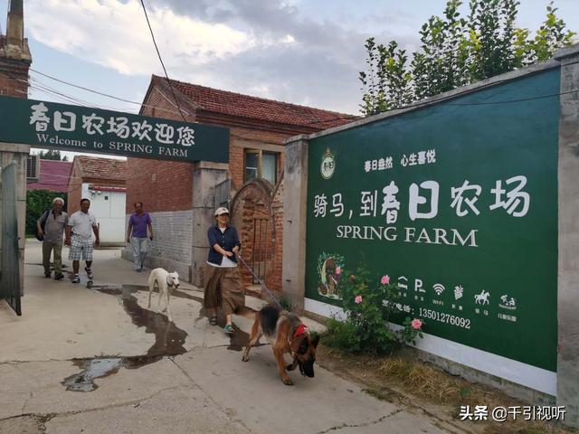 |北京延庆好去处：春日农场任大叔家的葡萄熟了