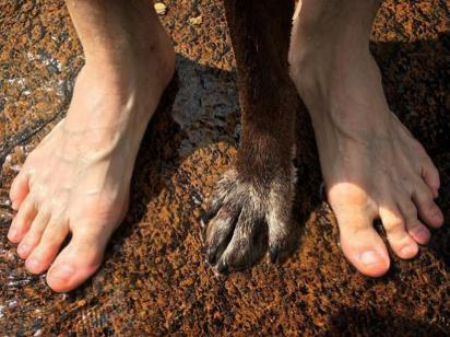 如果分离无法避免，请让我们好好告别